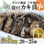 ふるさと納税 北見市 【さとふる限定】【2025年発送】サロマ湖産殻付き2年牡蠣 中 約3kg(約20〜25個)