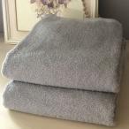 ふるさと納税 泉佐野市 泉州タオル90×200超大判バスタオル2枚セット(オリオングレー) 099H3659