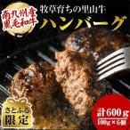 ショッピングふるさと納税 ハンバーグ ふるさと納税 志布志市 【さとふる限定】牧草育ちの里山牛100%使用!手作りハンバーグ 600g(100g×6個)