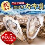 ふるさと納税 北見市 【訳あり】サロマ湖殻付きカキ貝(大きさ不揃い) 約5.5kg詰め