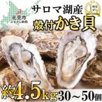 ふるさと納税 北見市 サロマ湖自慢の殻付きカキ貝(2年物)4.5kg詰め