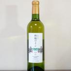 北垣外 瀧澤農園 林檎ワイン 720ml