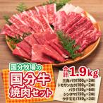 国分牧場の