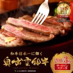 ふるさと納税 飯南町 奥出雲和牛肉