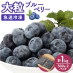 ふるさと納税 佐倉市 【大粒】冷凍ブルーベリー1kg(500g×2パック)
