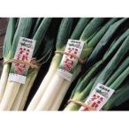 fu.... налог утро . город утро . город Special производство [ скала Цу лук порей ]3kg( в коробке )