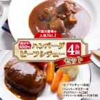 国分牧場の国分牛100%ハンバーグ ビーフシチューセット