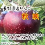 ふるさと納税 須坂市 長野県産 秋映【訳あり品】約5kg(11〜20個入り)