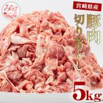 ふるさと納税 宮崎市 宮崎県産豚肉切り落とし 5kg(真空パック)