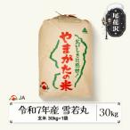 ふるさと納税 尾花沢市 令和7年産 玄米 雪若丸 30kg 山形県尾花沢市産 ja-ywgxa30