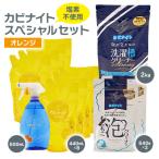 ふるさと納税 東村山市 塩素でなくてもカビとれる! カビナイトスペシャルセット(オレンジ)