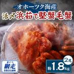 ふるさと納税 網走市 オホーツク海産・堅蟹毛蟹2尾(約1.8kg)