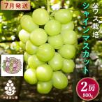 ふるさと納税 山梨市 ハウス栽培7月出荷シャインマスカット(2房約800g)世界農業遺産認定地特産