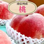 ふるさと納税 長野県 旬の味をお届け!信州産 桃 約4キロ B級品