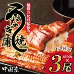 ふるさと納税 泉佐野市 秘伝のたれ仕込み うなぎ蒲焼 (約160g×3尾)鰻 ウナギ 中国産 炭火焼きG1877