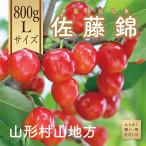 ショッピング和 ふるさと納税 山形県 【令和6年度発送】〜山形名産地より〜さくらんぼ佐藤錦 大玉　800g　Lサイズ　