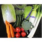 産季節の野菜詰め合わせセット
