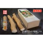 fu.... налог утро . город сельское хозяйство дом прямая поставка! утро . город производство специальный отбор Японский ямс (.....) 600g