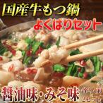 ふるさと納税 大川市 よくばりもつ鍋セット 醤油味2人前&みそ味2人前(合計4人前) (米粉麺付)(大川市)