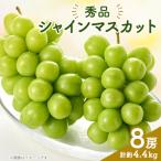 ふるさと納税 山梨市 シャインマスカット(8房)