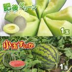 ふるさと納税 山鹿市 肥後グリーンメロン 1玉(約2kg)&小玉スイカ 1玉(約2kg)セット