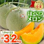 ふるさと納税 むかわ町 【2026年発送先行受付】ほべつメロン2玉(約1.6Kg×2玉)【むかわ町穂別特産品】