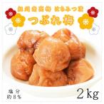 ふるさと納税 御坊市 【家庭用】紀州南高梅 はちみつ漬つぶれ梅 2kg