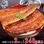 ショッピングうなぎ 国産 ふるさと納税 うなぎ 有田市 国産うなぎ蒲焼き2本(計240g~298g)セット