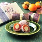 ふるさと納税 中津川市 御菓子所川上屋の柿の美きんとん10個入(秋冬菓子)