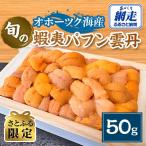 ふるさと納税 網走市 【さとふる限定】先行受付　旬の蝦夷バフン雲丹1折50g 冷蔵便届け