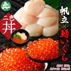 ふるさと納税 弟子屈町 鱒いくら醤油漬け 約100g×2 計200g ホタテ 約300g 海鮮 北海道 弟子屈町 3349