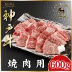 ふるさと納税 朝来市 神戸ビーフ 焼肉用 600g (ASGY2)