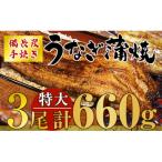 ふるさと納税 鹿屋市 九州産　備長炭手焼　うなぎ蒲焼　3尾(660g)1745