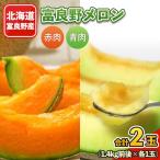 ふるさと納税 富良野市 富良野メロン 赤肉・青肉 2色セット 合計2玉入り