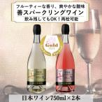 ふるさと納税 上越市 サクラアワード受賞 岩の原ワイン 善(ぜん)スパークリングワイン2本セット