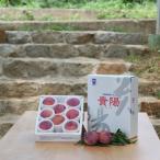 ふるさと納税 南アルプス市 ふるさと納税 2026年先行予約 貴陽 すもも 約1.5kg (8玉〜10玉程度) 南アルプス市産