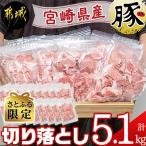 ふるさと納税 都城市 【さとふる限定】宮崎県産豚切り落とし5.1kg 小口ジッパー袋入り 