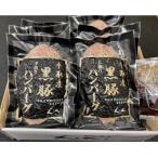 ふるさと納税 平取町 平取産黒豚ハンバーグ180g×6枚オリジナルソース付き