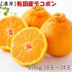 ふるさと納税 新宮市 【お味濃厚】紀州有田産のデコポン約5kg(18玉〜24玉入り)(新宮市)