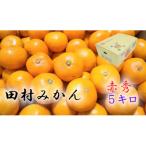 ふるさと納税 みかん 湯浅町 【2024年11月より発送】田村みかん　秀品　5kg(2Sサイズ)