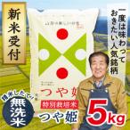 ふるさと納税 最上町 【令和6年産先行受付】山形県産特別栽培米　つや姫5kg(無洗米)