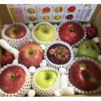 ふるさと納税 千曲市 りんごの宝石箱 信州りんご 詰合せ 約3kg (8〜11玉)【品種おまかせ】