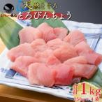 脂びん長まぐろ 切落し 1kg