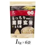 ショッピングもち麦 ふるさと納税 南アルプス市 はくばくのもっちり美味しい発芽玄米+もち麦　1kg×6個