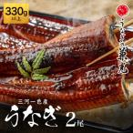 ふるさと納税 西尾市 【生活応援】三河一色産鰻蒲焼大サイズ2尾(計330g以上)・U023-14