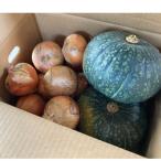 fu.... налог каштан гора блок Hokkaido производство шар лук порей примерно 3kg, тыква 2 шар. комплект [2026 год 9 месяц сверху ... отправка ]