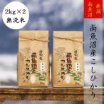 ふるさと納税 南魚沼市 【令和6年産】【高級】南魚沼産こしひかり2kg(無洗米)×2袋