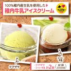 ふるさと納税 稚内市 【業務用】稚内牛乳アイスクリーム2000mクマザサ×コーヒー牛乳2個セット