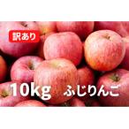 ふるさと納税 山形県 りんご「ふじりんご」訳あり　10kg