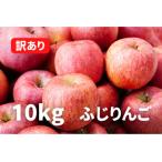ふるさと納税 りんご 山形県 《2025年先行受付》りんご「ふじりんご」訳あり 10kg